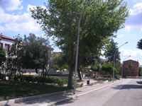 I giardini nella piazza centrale di Aquilonia nuova