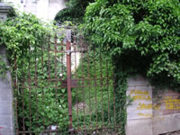 I rovi che coprono il cancello del palazzo Capaldo