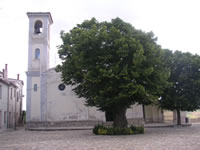 La facciata della chiesa di Sant'Antonio da Padova, parzialmente coperta dal plurisecolare tiglio