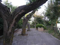 I piccoli giardini-terrazza da cui si può ammirare uno splendido panorama