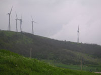 Pale per la produzione di energia eolica