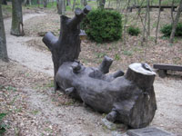 Il tronco-fontana nell'Oasi di Montecalvo Irpino