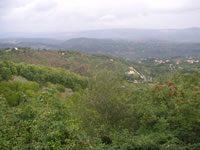 Il panorama verde che si ammira dall'alto di Montemarano