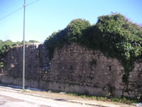 Le pareti esterne del Palazzo Ducale Carafa, ricoperte dalla vegetazione