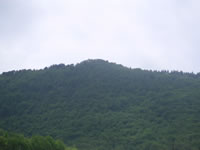 La cima della collina che fronteggia l'attuale abitato di Sorbo Serpico. Tra la vegetazione si trovano i ruderi del castello ("castrum") longobardo, attorno a cui sorse il borgo medioevale di Serpico