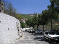 Il viale alberato che precede il Municipio