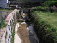 Un corso d'acqua