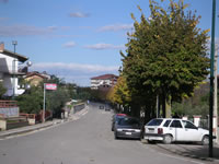 Una stada di Aiello del Sabato