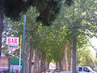 Il viale alberato di platani che accoglie il visitatore