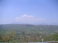 Panorama verde