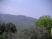 Il verde in cui è immerso Chianche