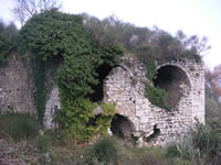I rovi che hanno invaso i ruderi del convento di S. Maria degli Angeli