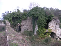 I rovi che hanno invaso i ruderi del convento di S. Maria degli Angeli